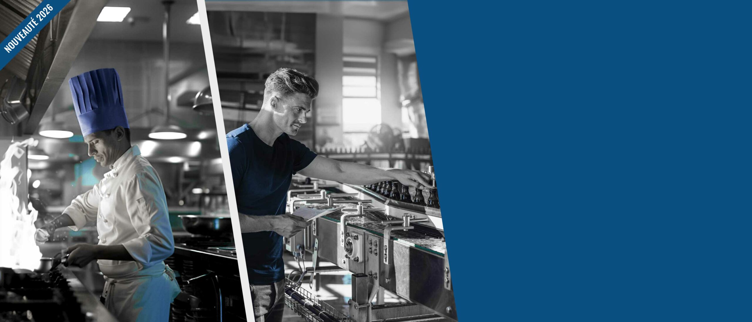 multirisque professionnelle